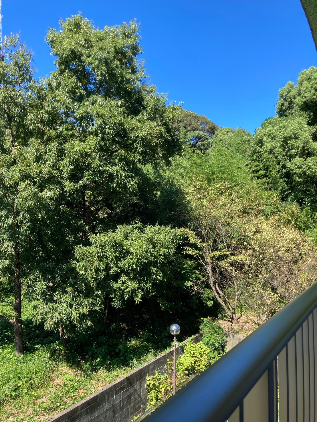 グリーンハイツ平和の写真